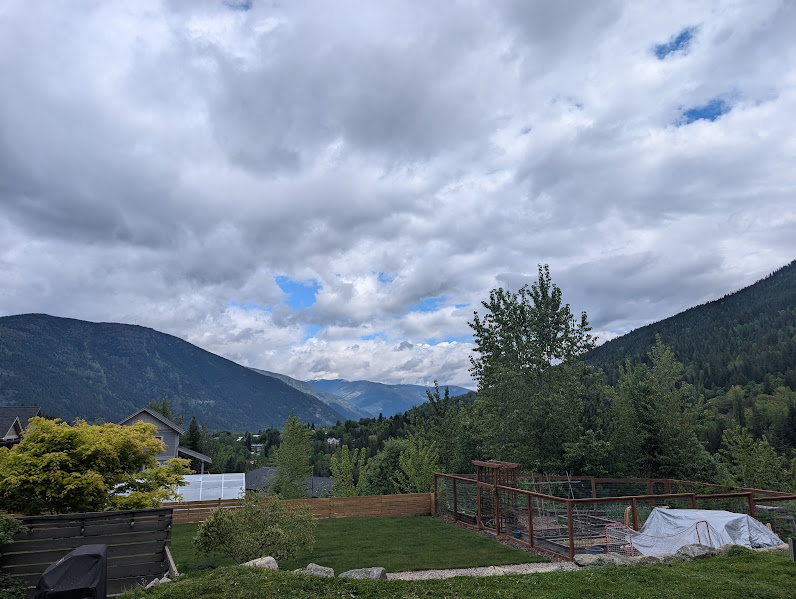 PXL_20260514_172740004